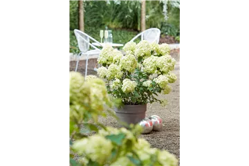 AUSZEIT IM GARTEN!