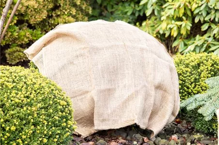 GUT GESCHÜTZT DURCH DEN WINTER! GUT GESCHÜTZT DURCH DEN WINTER!