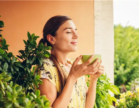EINFACHER GEHT'S KAUM!