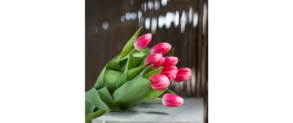 BUNTES OSTERFEST MIT FRüHLINGSBOTEN! BUNTES OSTERFEST MIT FRüHLINGSBOTEN!