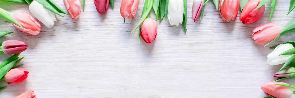 BLUMIGER VALENTINSTAG!