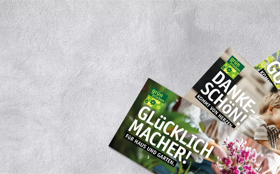 Gutschein - Geschenkgutschein online bestellen