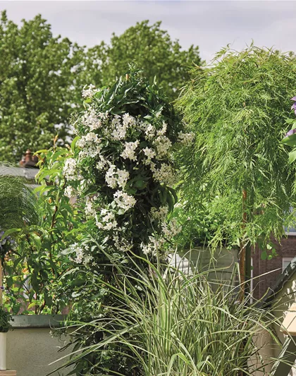 BLüHENDES MAKE OVER! 