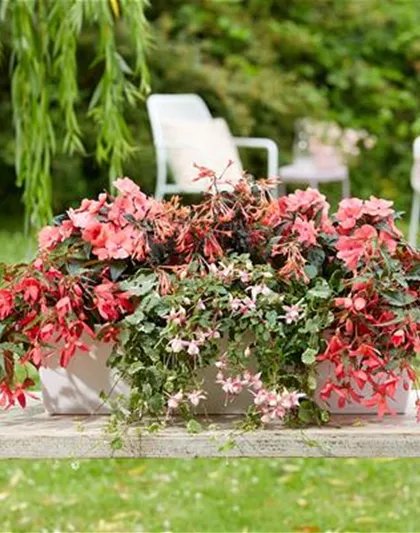 IM TREND: BALKON!