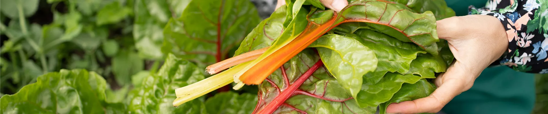 Buch des Monats: März!