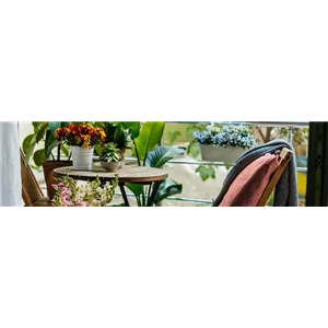 Buch des Monats: Mai!