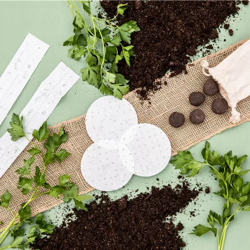 🌿 Was Sie im April in den Garten säen können