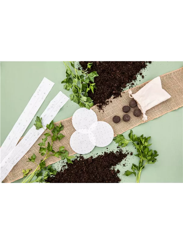 🌿 Was Sie im April in den Garten säen können