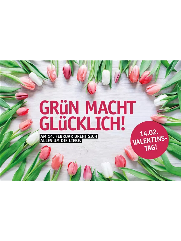 Valentinstag 🌷 