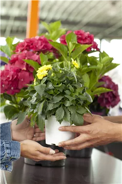 Kassierer (m/w/d) in Teil- oder Vollzeit